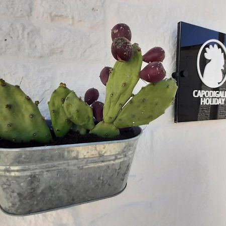 Capodigallo Holiday Trullo Monte Santo Alberobello Bagian luar foto